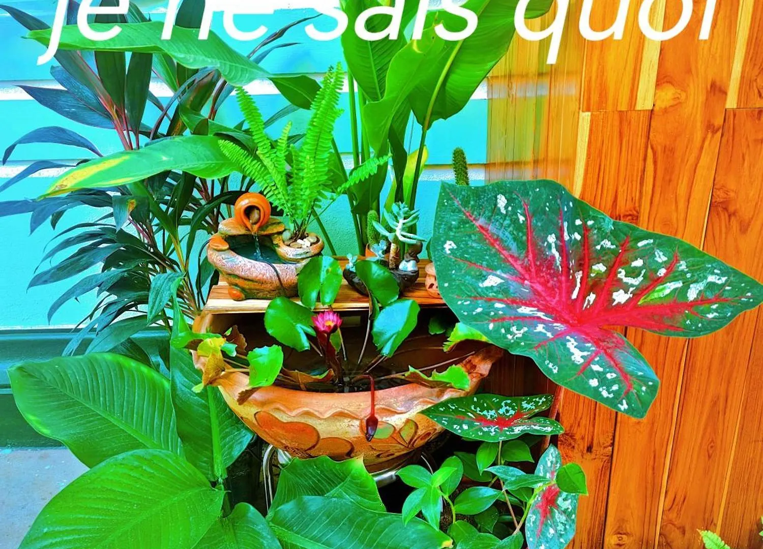 Maison d'hôtes Hotel 天堂鸟花园客栈 à Luang Prabang Laos