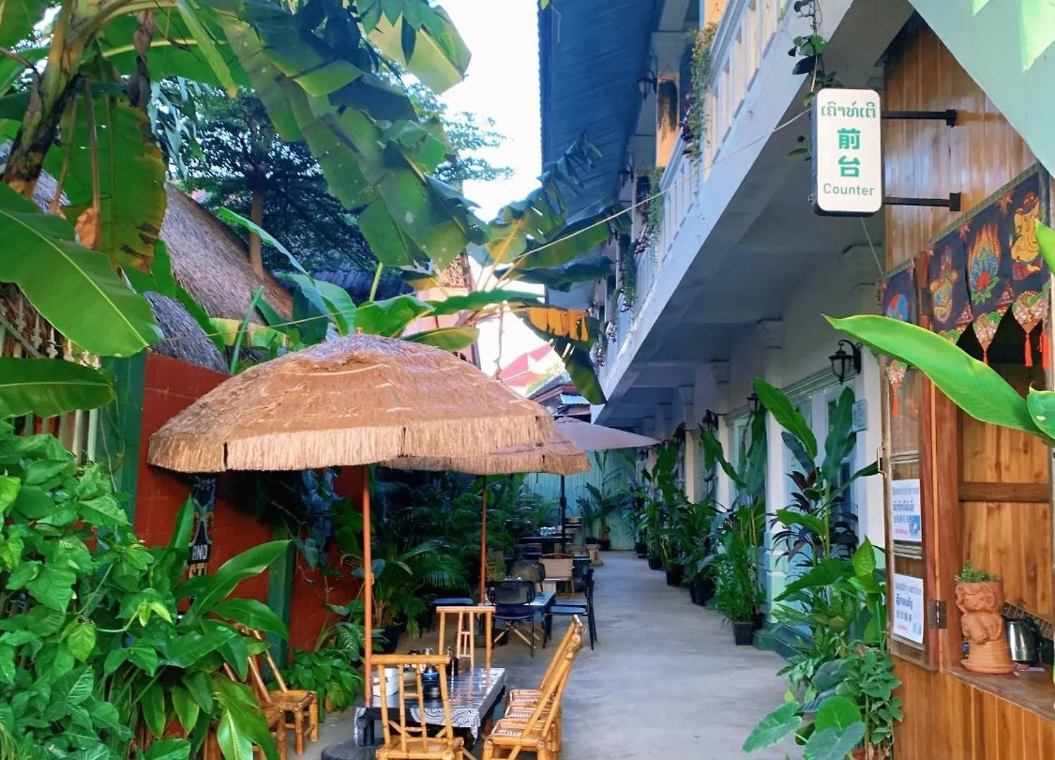 Hotel 天堂鸟花园客栈 à Luang Prabang Laos